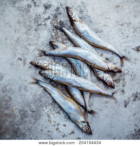 Fresh Catch Shishamo Fish Fully Eggs . Shishamo Fish Is Popular Fish For Japanese Cuisine Cooking Te