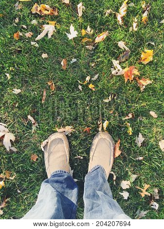 Man standing in lawn during the autumn season