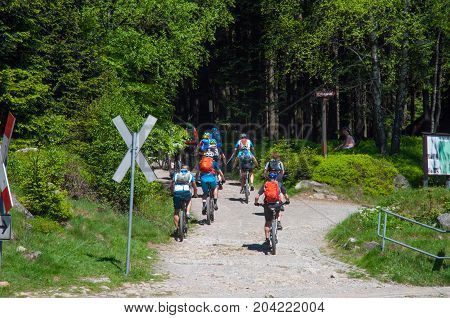 Schierke Germany - May 27. 2017: Mountain biking in the forest