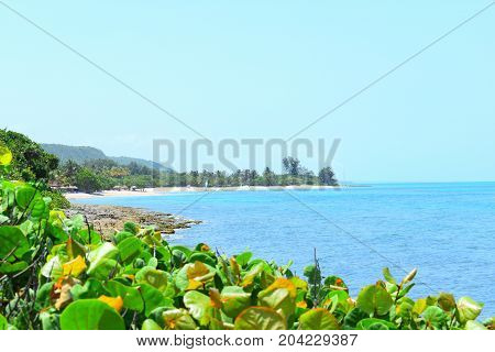 picture took of a east cost of Cuba