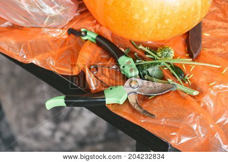 Beautiful autumn floral bouquet in a pumpkin vase. Preparing for Halloween. Table setting for the wedding