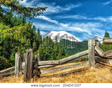 View of Mt. Ranier from a medow framed by an old wooden fence.