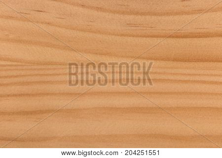 pine wood pattern texture, grunge wood pattern texture