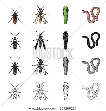 Insect cockroach, wasp, caterpillar, worm. Insects set collection icons in cartoon black monochrome outline style vector symbol stock illustration .