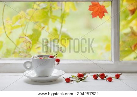 tea with berries of a dogrose on a windowsill