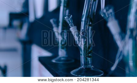 Glass Bongs For Smoking Weed Close-up Soft Focus. Smoking Accessories Marijuana