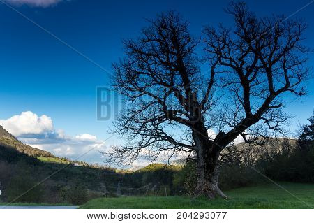 Mountains of Regional nature park of the Azure PreAlps France