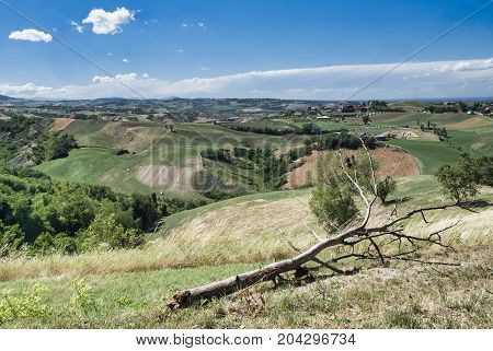 Summer landscape near Rivalta di Lesignano de Bagni (Parma Emilia-Romagna Italy) with the typical rocky inlets