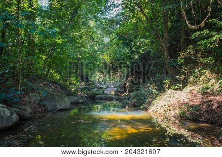 Scenery In Khao Sok National Park In Thailand. Khao Sok National Park The Rain Jungle Forest In Sura