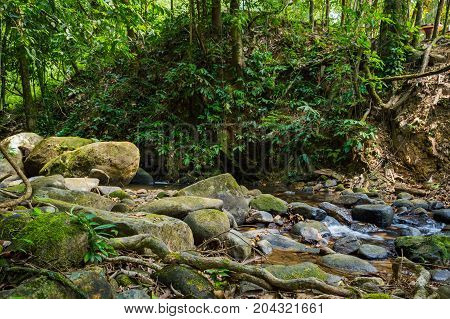 Scenery In Khao Sok National Park In Thailand. Khao Sok National Park The Rain Jungle Forest In Sura