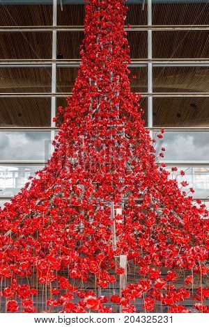 Cardiff Wales United Kingdom - September 15 2017: Weeping Window a cascade of several thousand handmade Poppies pouring from a window of the Welsh Assembly Building in Cardiff Bay Cardiff.