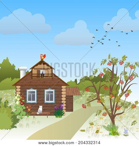 wooden rustic house in autumn tree forest cat