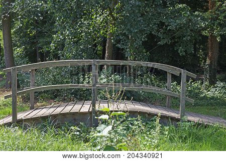 Small wooden bridge over a small brook in a forest