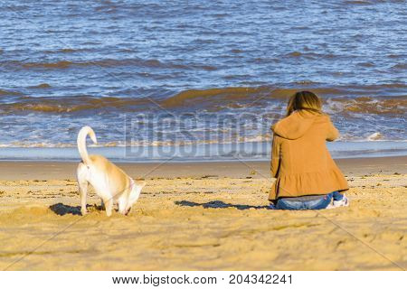 Woman With Pet At Beach
