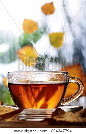 Cup Of Tea On Wooden Window Sill With Yellow Atumn Leaves .defocused Rainy Window And Autumn Trees O