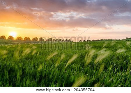Sunset in the countryside with red sun and burn sky