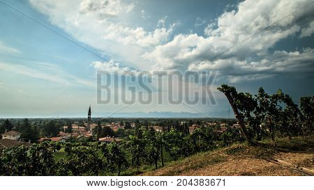 Storm Over The Vineyard