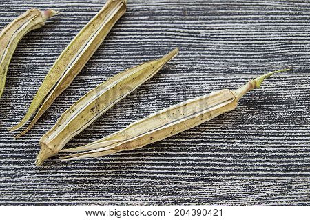 okra seeds, okra produce seed, okra seed for sowing,