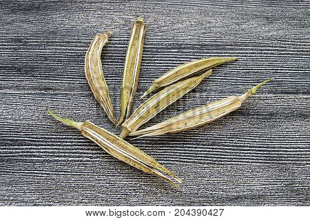 okra seeds, okra produce seed, okra seed for sowing,