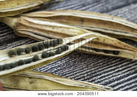 okra seeds, okra produce seed, okra seed for sowing,