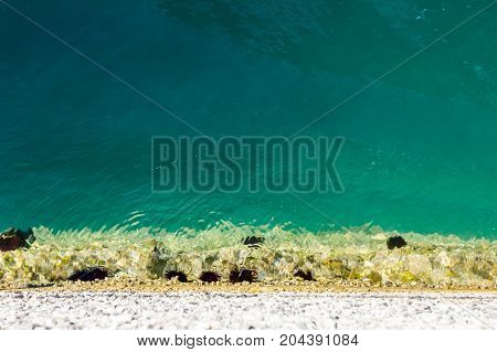 Rocky seafloor visible through turquoise transparent water and black urchin on seafloor.