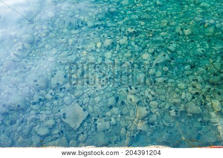 Rocky seafloor visible through turquoise transparent water and black urchin on seafloor.