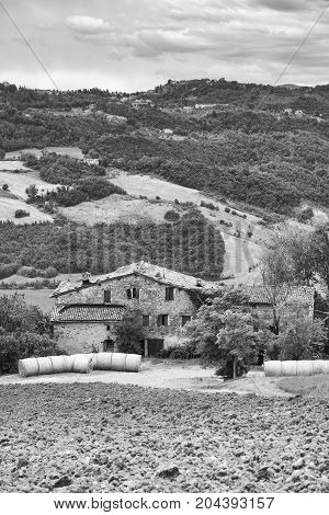 View of the Panaro valley (Modena Emilia Romagna Italy) at summer. Black and white