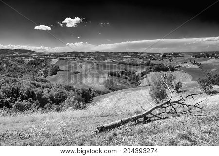 Summer landscape near Rivalta di Lesignano de Bagni (Parma Emilia-Romagna Italy) with the typical rocky inlets. Black and white