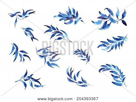 Hand drawing watercolor blue and purple leaves ornament
