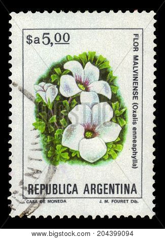 ARGENTINA - CIRCA 1982: a stamp printed in the Argentina shows oxalis enneaphylla, scurvy-grass sorrel, is alpine perennial herbaceous plant native to the grasslands of Patagonia and the Falkland Islands, series, circa 1982