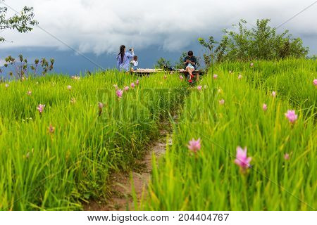 Tourists At The Mon Chaem Mountain Flower Garden In Chiang Mai, Thailand
