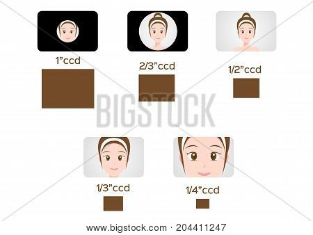 ccd compare to women scale vector graphic