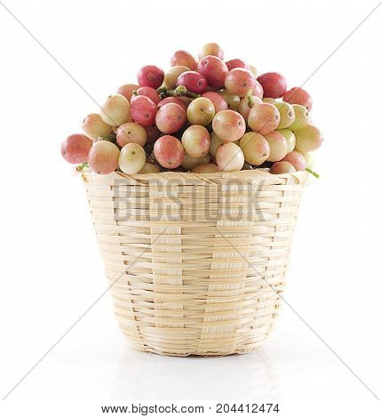 phyllanthus fruit isolated on white background .