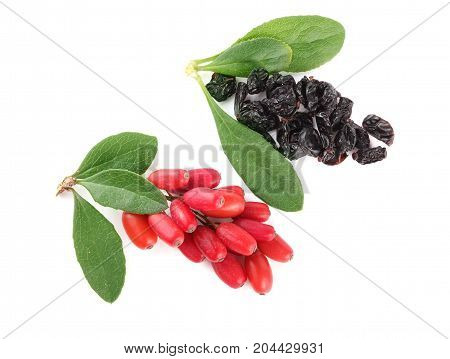 dried and fresh barberry with leaves isolated on white background. top view.
