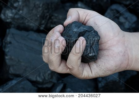 Coal mining - hand holding sunlit dark coal stone part. Concept coal mining coal processing energy source environment protection.