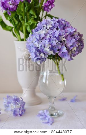 Still-Life with blue Hortensia Flowers in glass vase