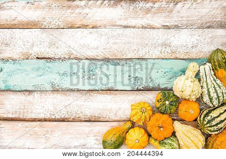 Pumpkin on wooden background. Autumn. Harvest. Thanksgiving. Halloween