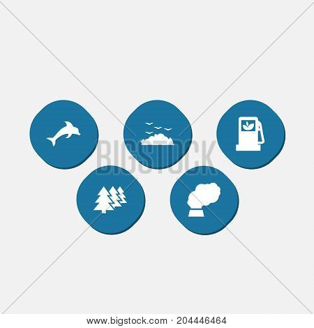 Collection Of Autorefuelling, Contamination, Rubbish And Other Elements.  Set Of 5 Bio Icons Set.