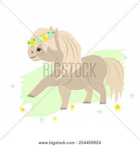 Vector flat illustration. Cute Shetland pony stalion.