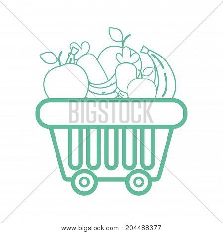 line shopping basket with delicious fruits and vegetables vector illustration