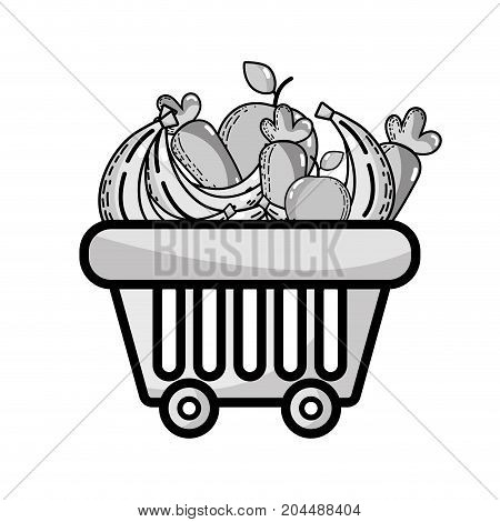 grayscale shopping basket with delicious fruits and vegetables vector illustration