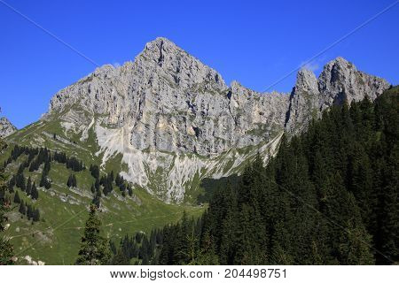 view to the tannheimer alps in Austria