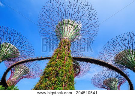 Unidentified Tourist Visited Skyway Of Gardens By The Bay At Singapore