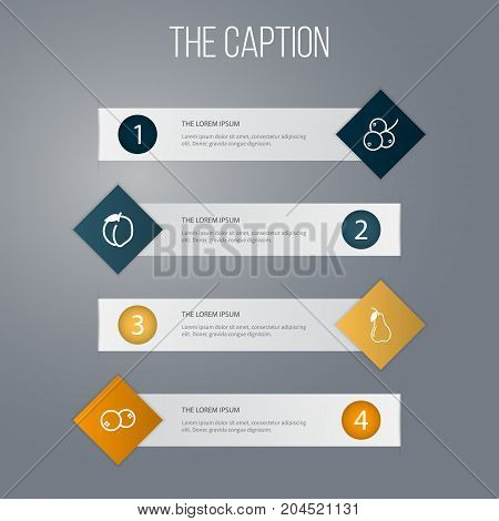 Outline Food Set Of Fruit, Cranberry, Prunus And Other Vector Objects