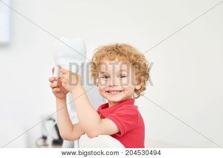 Head and shoulders portrait of cute toddler looking at camera while playing with tooth model at dental office, blurred background