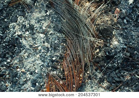 Metal Carcass Of The Burnt Automobile Rubber Tire