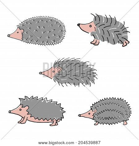 Hedgehog hand drawn isolated on white background. Stock vector illustration of a cute animal for seasonal greeting cards, autumn decoration in retro style.