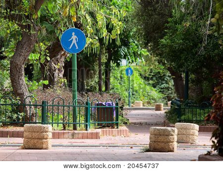 City Park