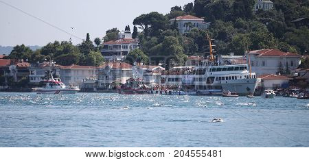 Samsung Bosphorus Cross Continental Swimming Competition 2017