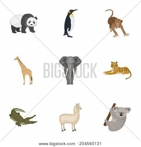 Ostrich emu, crocodile, giraffe, tiger, penguin and other wild animals. Artiodactyla, mammalian predators and animals set collection icons in cartoon style vector symbol stock illustration .
